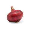 ONION RED (3PC)