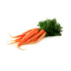 CARROT BUNCH - Delivery Free West Vancouver Area