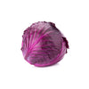 CABBAGE RED - Fresh Produce Delivery Broadway Vancouver